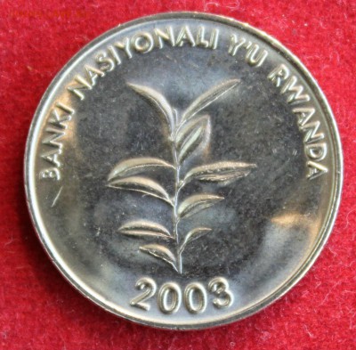 С 1 руб. РУАНДА 20 франков 2003г.ЦВЕТОК  до 10.12.14г.в 22-0 - IMG_2730.JPG