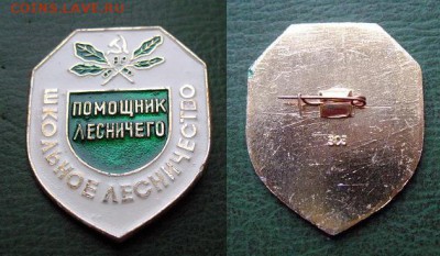 Помошник лесничего ШКОЛЬНОЕ ЛЕСНИЧЕСТВО до 7 дек 22.00 - Помошник лесничего ШКОЛЬНОЕ ЛЕСНИЧЕСТВО = 90.JPG