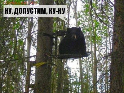 делает - прямо сейчас !!! - image