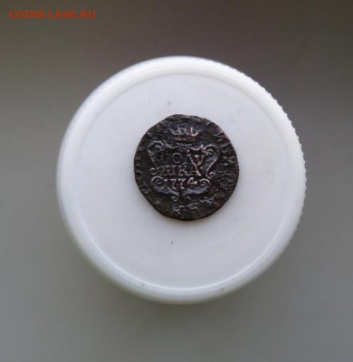 Полушка сибирка 1774 до 8.12 - P1090630.JPG