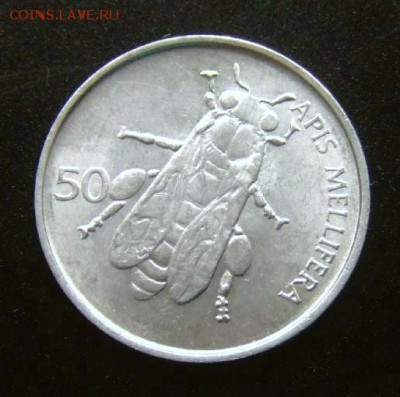 3 - Словения 50 стотинов (1993) «Пчела» А