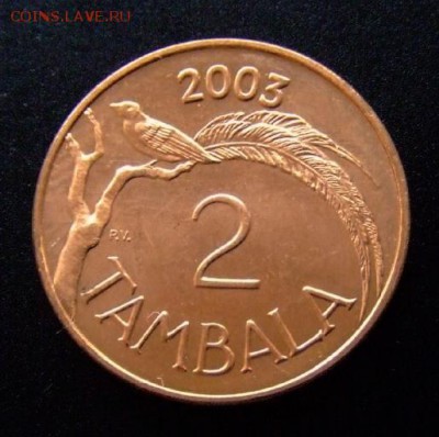 3 - Малави 2 тамбала (2003) «Райская птица» сталь платинир. медью Р