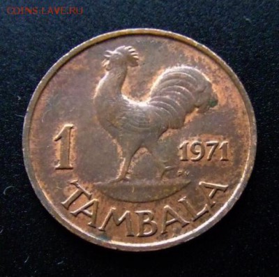 3 - Малави 1 тамбала (1971) «Петух» бронза Р