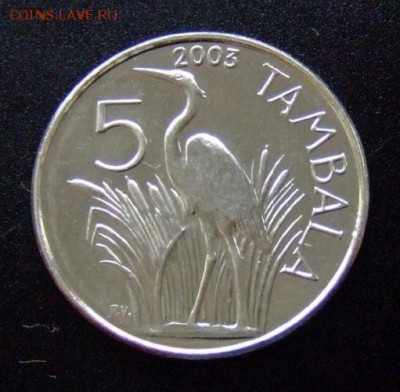 3 - Малави 5 тамбала (2003) «Рыжая цапля» сталь покр. никелем Р