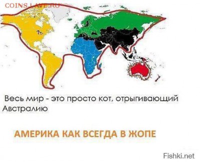 Любите ли вы кошек? - 10556261_732665460151458_9162529977541156695_n