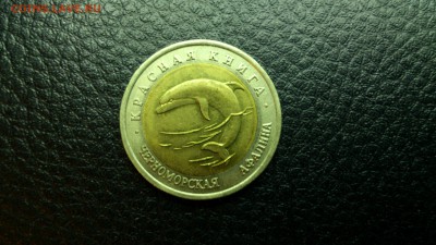 КК Черноморская Афалина 1993г. До 10.12 22-00 - DSC_0170
