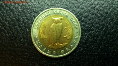КК Рыбный филин 1991г. До 10.12 22-00 - DSC_0172