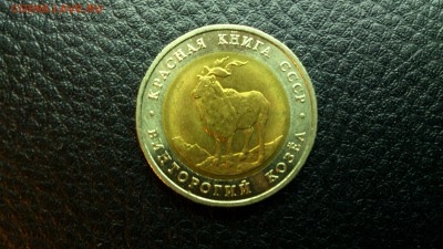 КК Винторогий Козел 1991г. До 10.12 22-00 - DSC_0174