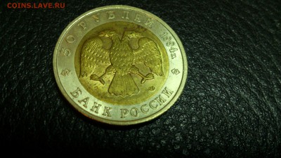 КК Песчаный Слепыш 1994г. До 10.12 22-00 - DSC_0185
