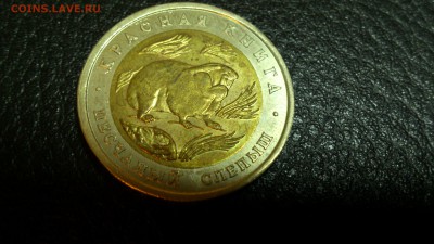 КК Песчаный Слепыш 1994г. До 10.12 22-00 - DSC_0184
