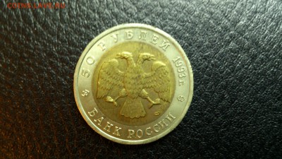 КК Гималайский Медведь 1993г. До 10.12 22-00 - DSC_0187