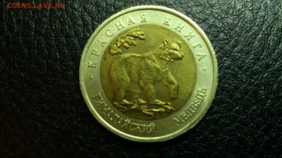 КК Гималайский Медведь 1993г. До 10.12 22-00 - DSC_0186