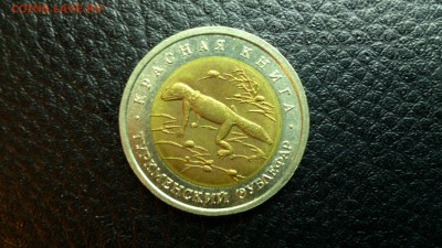 КК Туркменский Зублефар 1993г. До 10.12 22-00 - DSC_0188