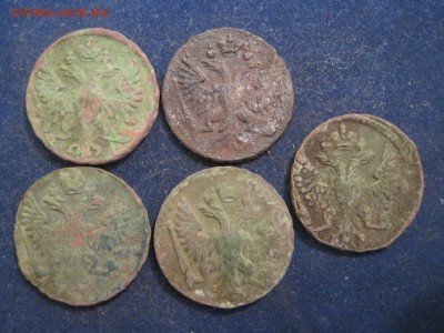 Деньга 1748-1750, 5 штук до 12 декабря 2014 - IMG_0503.JPG
