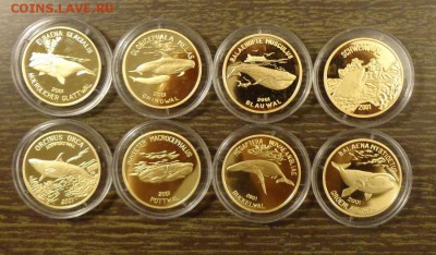 КОРЕЯ - Набор КИТЫ 8 шт. шикарный до 12.12, 22.00 - Корея киты 8 шт.