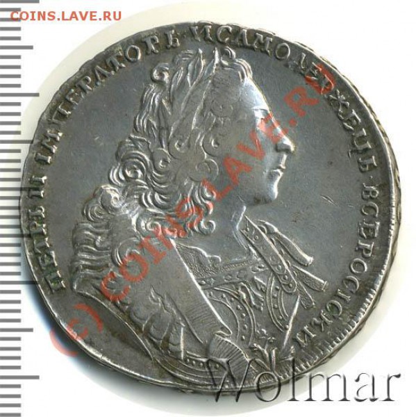 Лисий нос 1729 - 190771_2