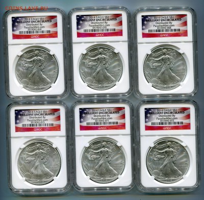 ФИКС. 1 доллар 2014, Шагающая свобода, в слабе NGC, BU. - Сканирование__380