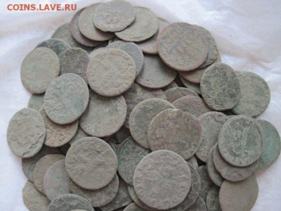 боратинки Речь Посполитая нечищенные 100 шт. до 11.12.14 - IMG_9540.JPG