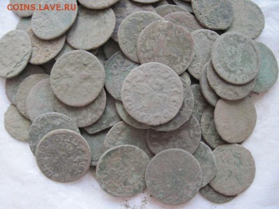 боратинки Речь Посполитая нечищенные 100 шт. до 11.12.14 - IMG_9541.JPG