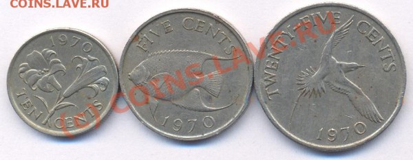 3 Бермуды. Сборный. До 8.05.10 г. 21-00 МСК. - Бермуды 1