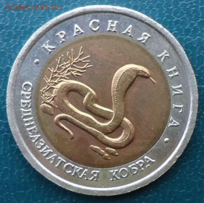 КК 10рублей. Среднеазиатская Кобра - DSC05504.JPG