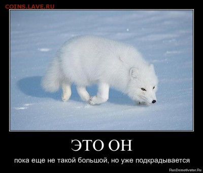 Ну а теперь про Украину - 1308517200_hd8xmfcviczs