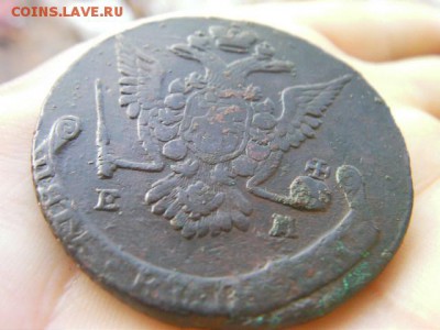 5 копеек 1776 ем до 10.12.14 22-00 по МСК - SANY2859.JPG