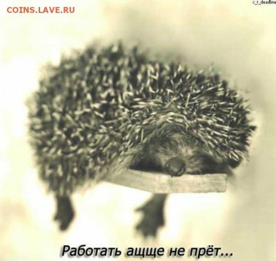 Ну а теперь про Украину - a64dceb44794