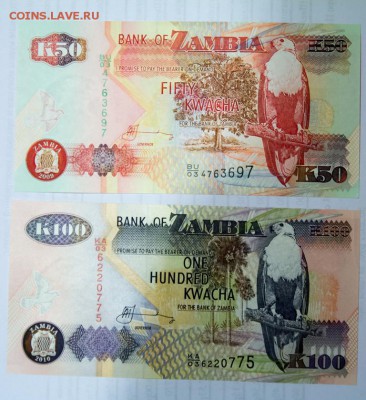 Замбия 50 и 100 квача до 21-00 14 декабря - _MG_0034