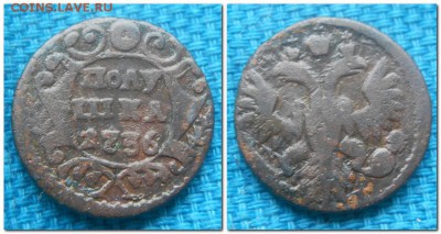 Деньга 1735, 48. Полушка 1736 - Полушка 1736