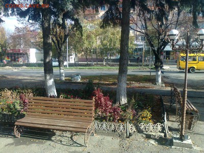 Поиск монет без мд - Фото4471