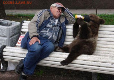 делает - прямо сейчас !!! - image