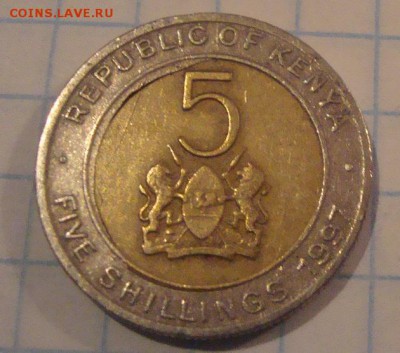 5 Шиллинг Кения 1997 год Брак-до 14.12.2014 до 23:00 по Моск - DSC02070.JPG