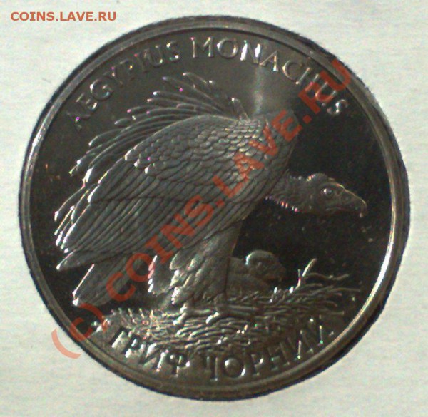 Животные на монетах - Украина 2 гривни 2008 Черный гриф-1