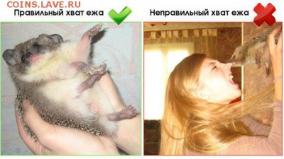 Ну а теперь про Украину - B4aWX-dIcAEMUIu