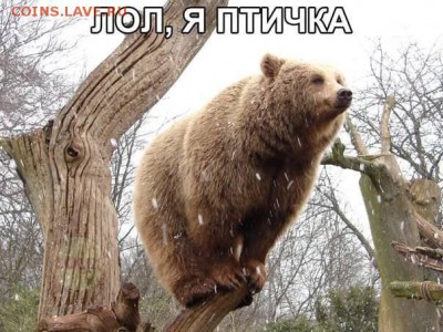 делает - прямо сейчас !!! - image