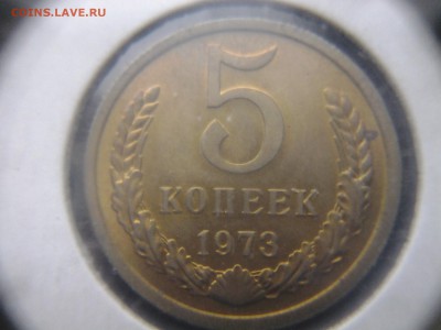 нужны копейки - 20141201_153406