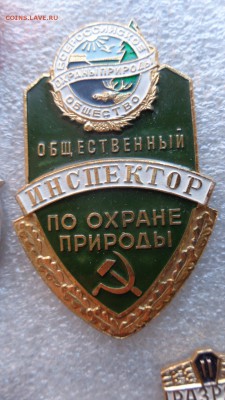 шт 19 - ддд  12.12.14  жжж 026.JPG