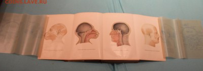 подскажите по книгам - IMG_8688.JPG