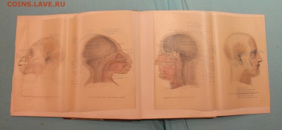 подскажите по книгам - IMG_8687.JPG