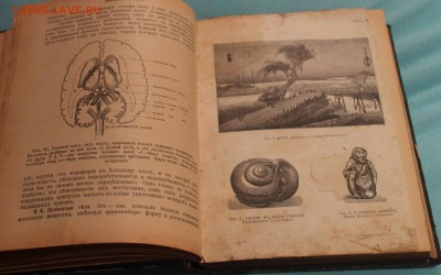 подскажите по книгам - IMG_8699.JPG