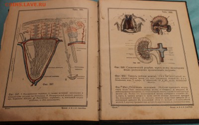 подскажите по книгам - IMG_8705.JPG