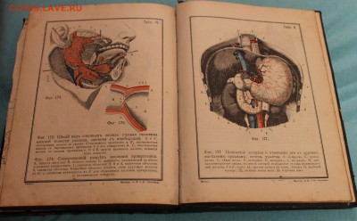 подскажите по книгам - IMG_8703.JPG