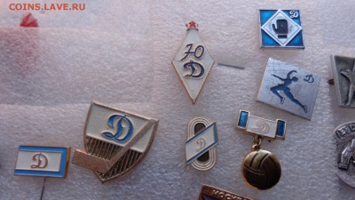 шт   до архива - ддд  12.12.14  жжж 037.JPG
