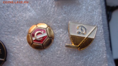 шт   до архива - ддд  12.12.14  жжж 019.JPG