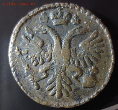 короткий Деньга 1731 перечекан из копейки (до 15,12,14 22-0) - 8,2