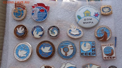 шт   до 19 ДЕК до 20-00 м - ддд  12.12.14  жжж 149.JPG