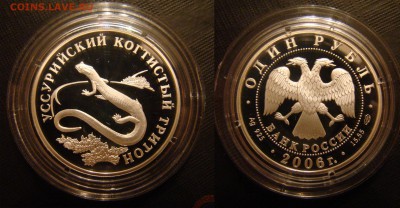 2 - 20061