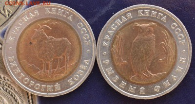 Красная книга 1991г Филин и Козёл до 15.12.14 в 22:00 - DSC_0938.JPG
