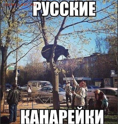 делает - прямо сейчас !!! - image